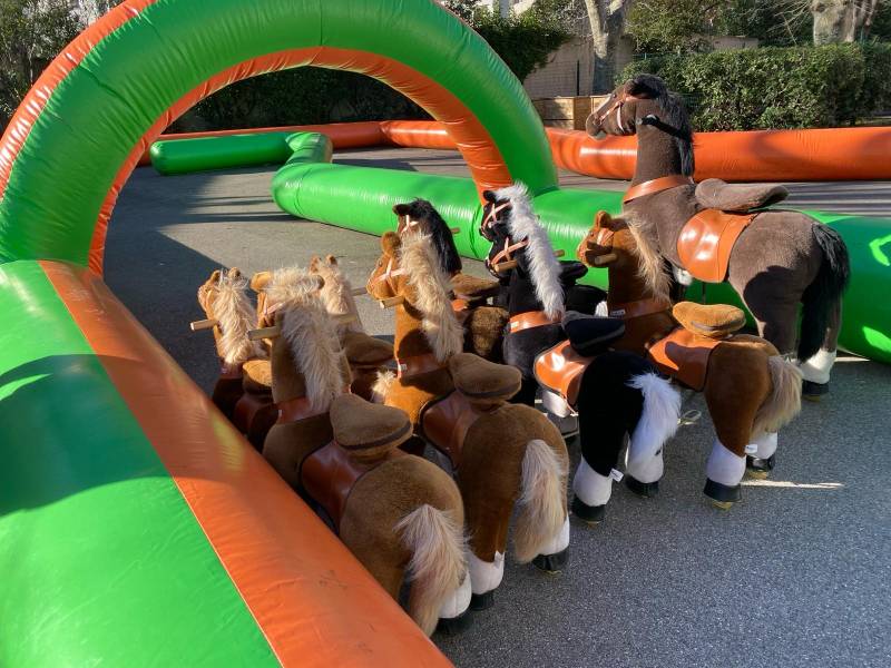 Petits chevaux pour anniversaire enfant en location à Cassis, Aix en Provence et la Garde