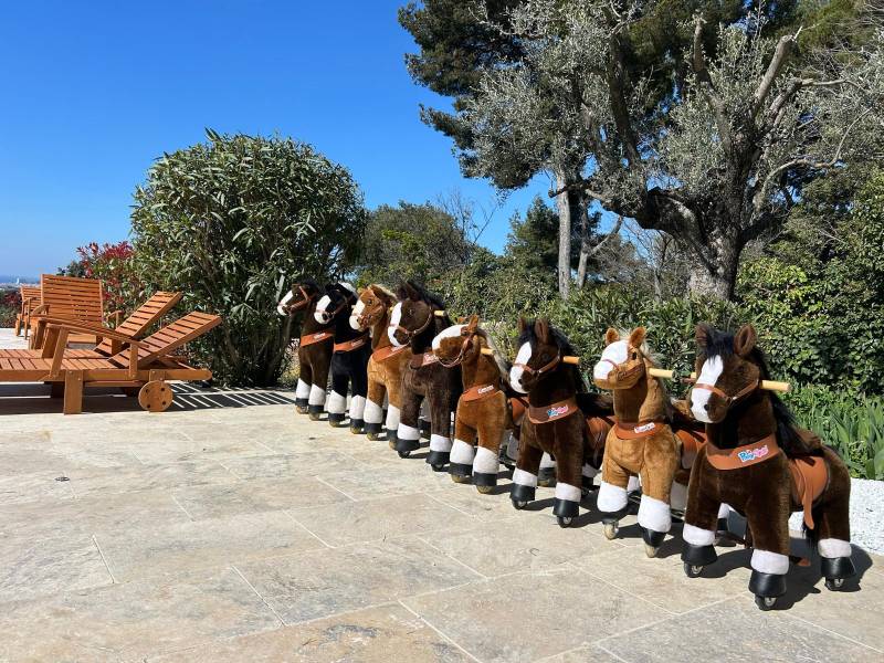 location petit Chevaux mécaniques, l'animations idéale pour vos événements dans le Var et les Bouches du Rhône