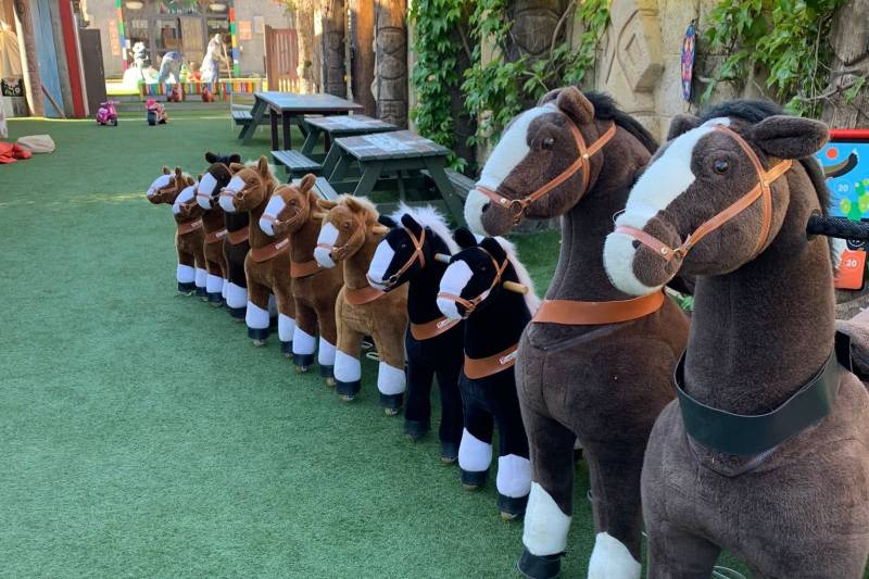 location petit Chevaux mécaniques, l'animations idéale pour vos événements dans le Var et les Bouches du Rhône