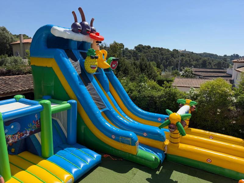 Toboggan gonflable tropical en location à Aubagne